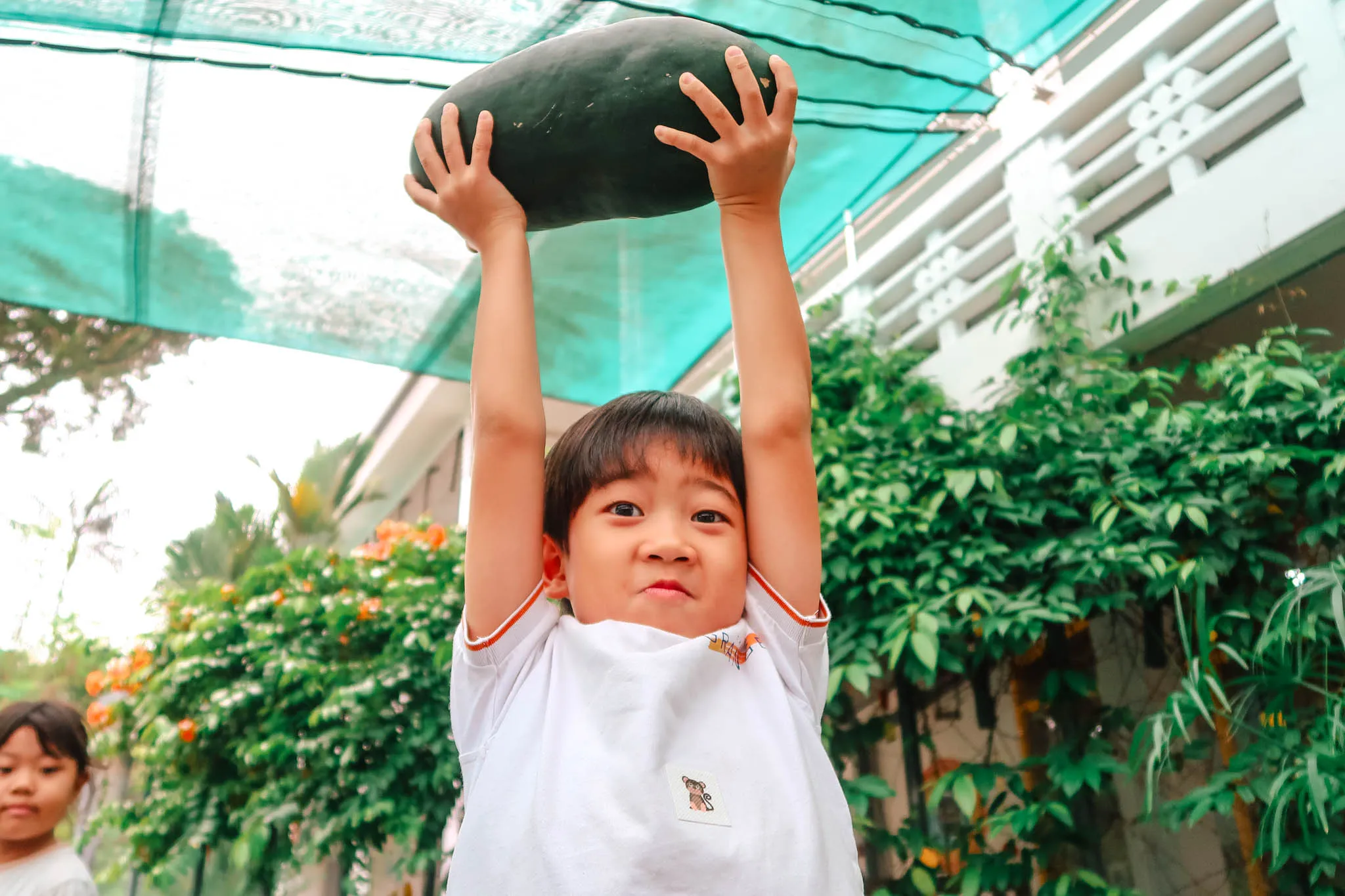 Eco Garden & Food Forest