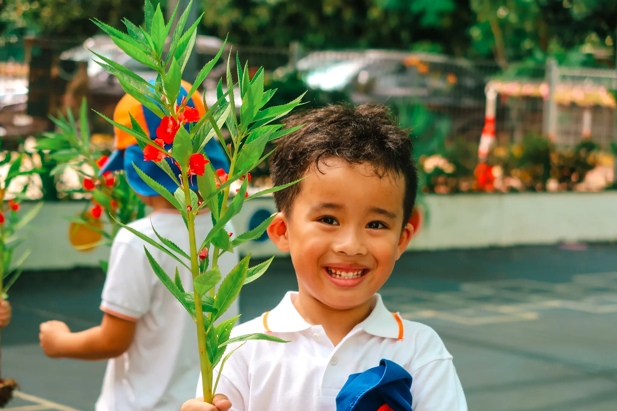 Eco Garden & Food Forest