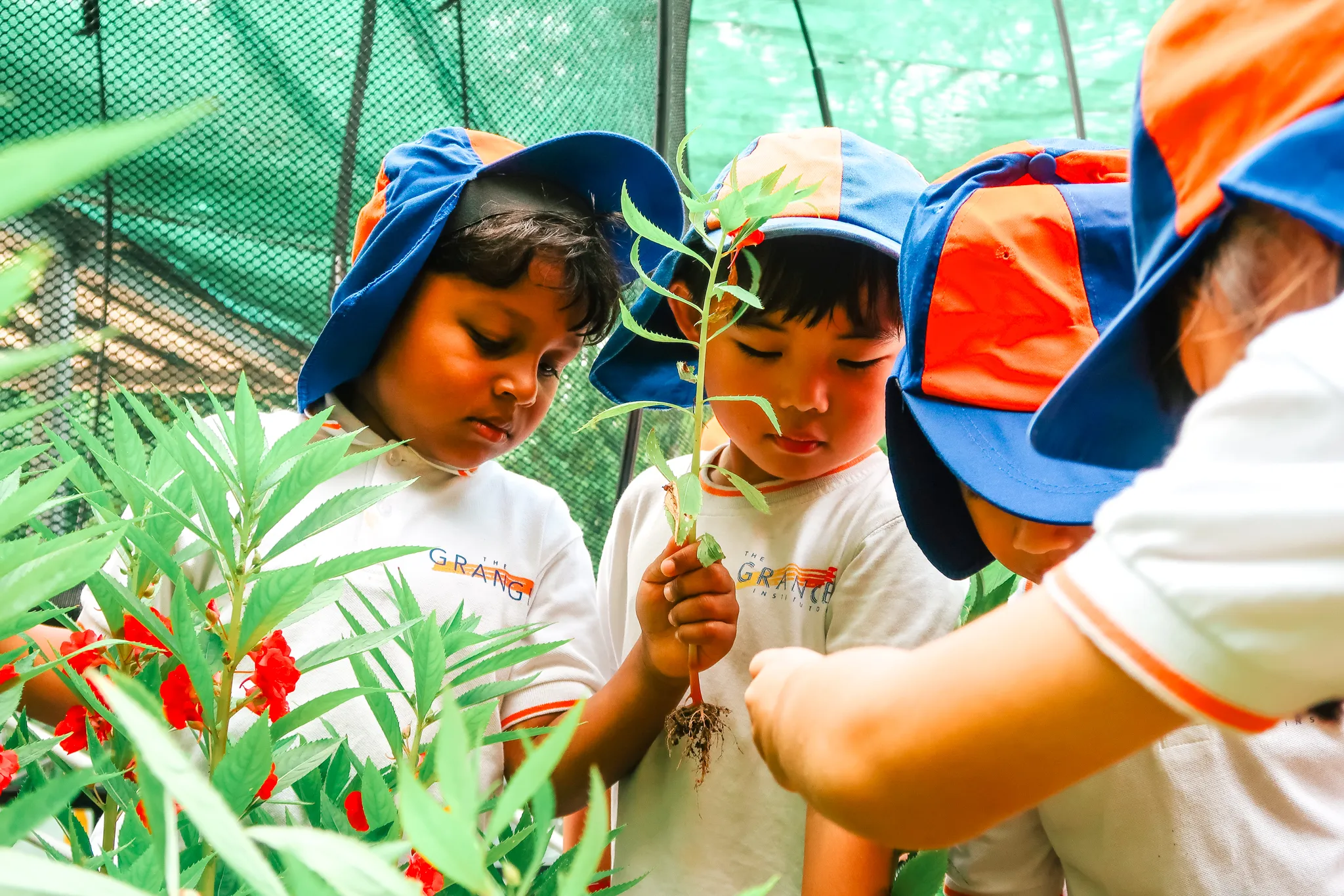 Eco Garden & Food Forest