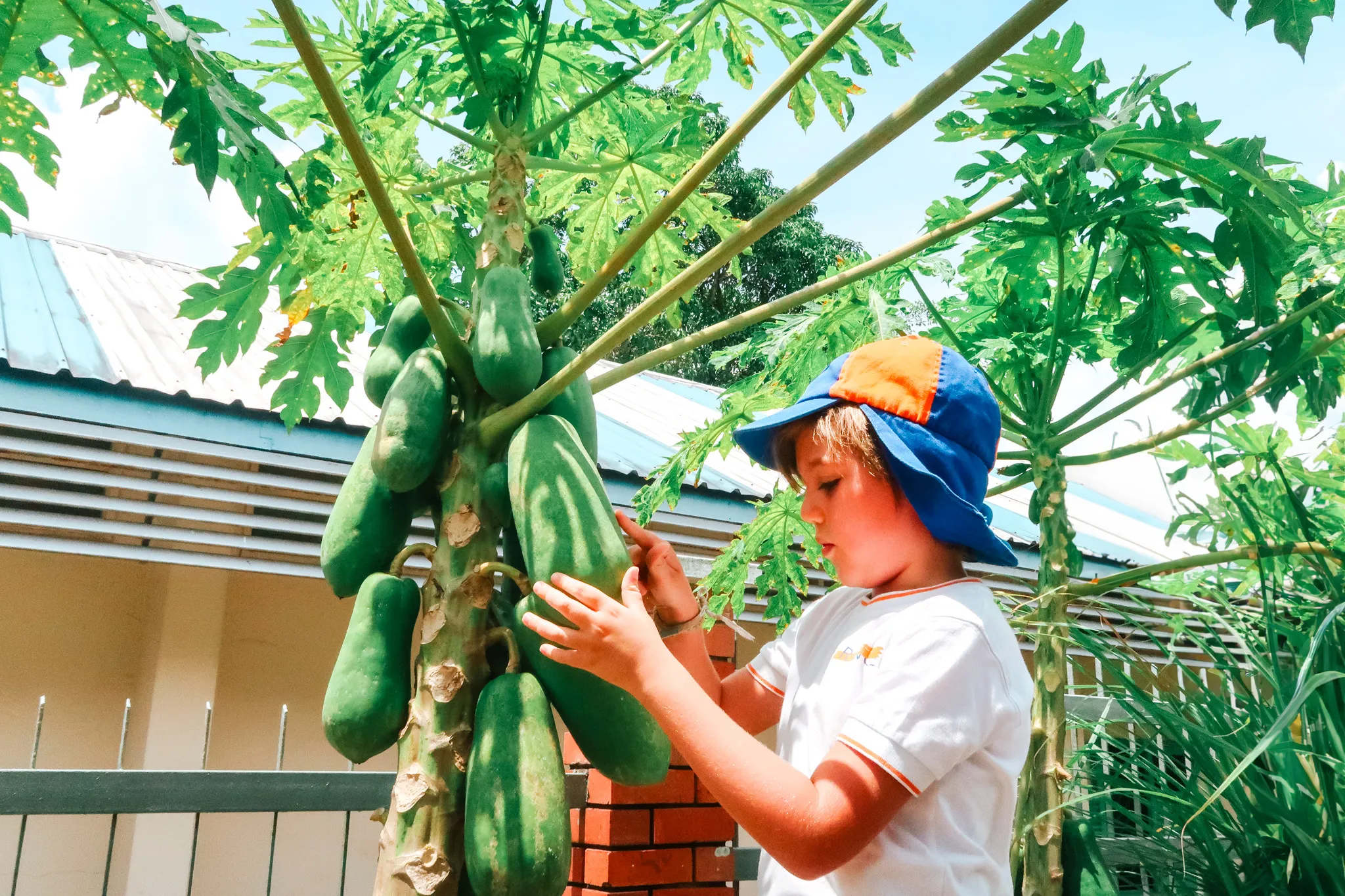 Eco Garden & Food Forest