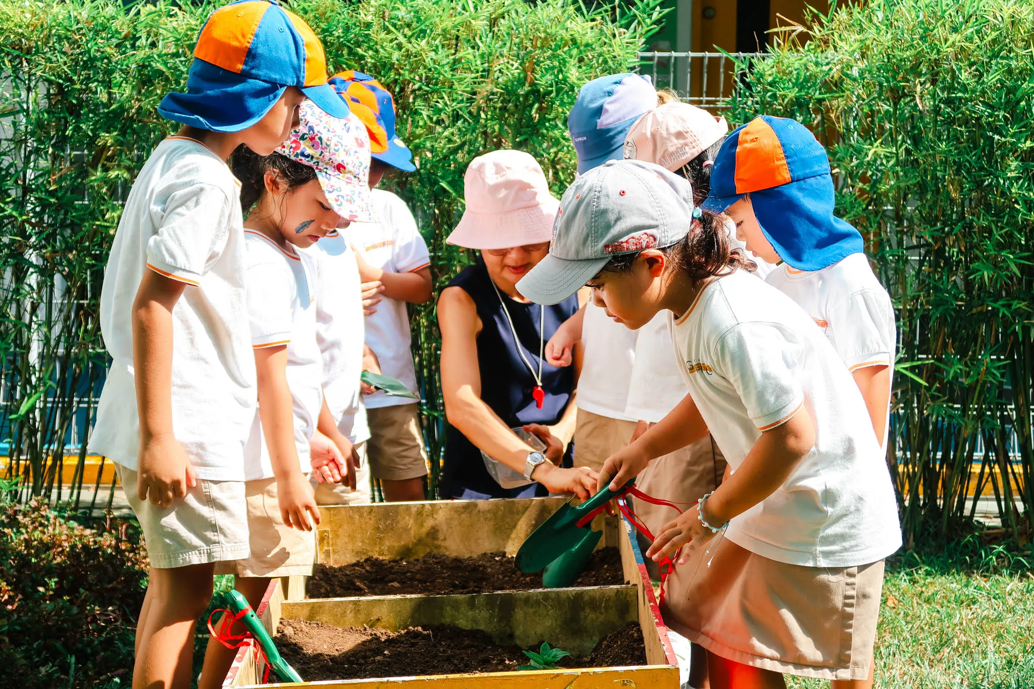 Eco Garden & Food Forest