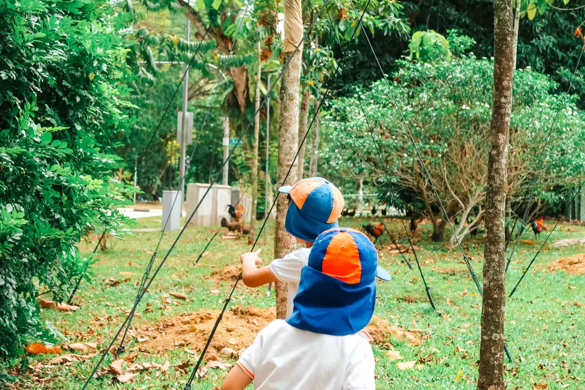 Real‑world learning in action as TGIP preschoolers observe wildlife and build empathy through everyday experiences.